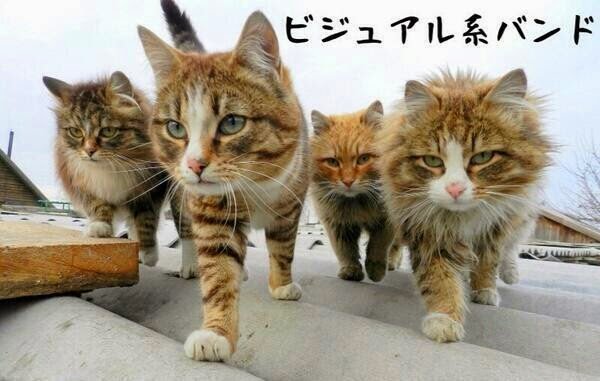 ysykhrd's tweet photo. https://t.co/l2uukeeNMm
