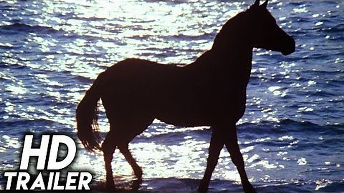 A silhouette of a horse walking through shallow water against a shimmering sunlit sea, with 'HD TRAILER' text in the corner suggesting a film promotion.