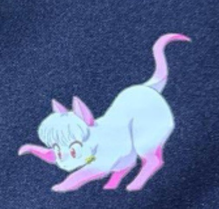 chi_o___cat's tweet photo. 今日(日付的には明日)かららんま第3期スタートするんでらんまコーデで出かけたら「それシャンプーですよね？かわいいです」と褒められて幸先良いスタート切った🐈‍⬛ https://t.co/rq4Zcs1bD1