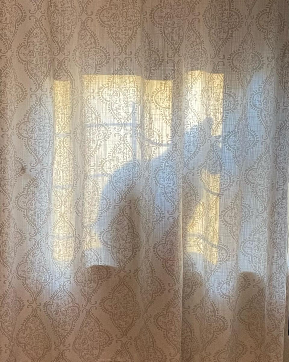 solgunxx's tweet photo. Photo by apeterson26 in Kingsbridge Heights, Bronx. https://t.co/3wqeOEiQhG