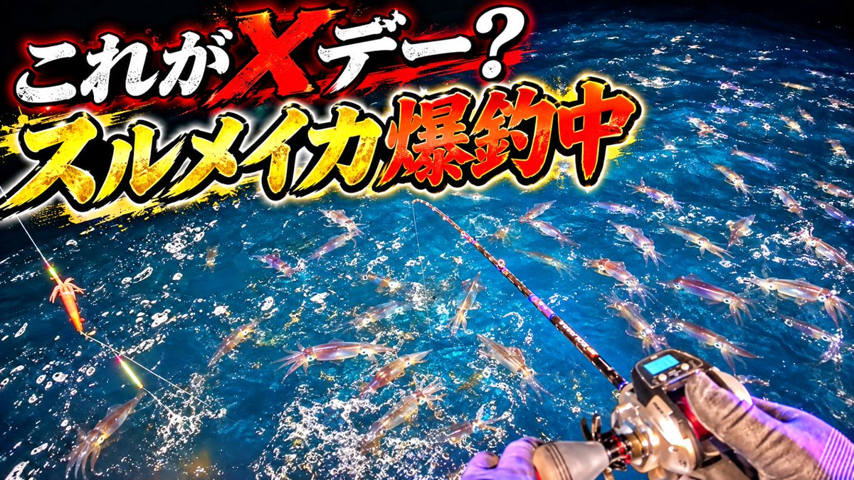 ABECHANNELS's tweet photo. 今期ハマりまくっている、イカメタル（スルメイカ）、苦手な明るい満月大潮だけど行ってきました。 
ウヨウヨいて、みなさん猛烈に釣りあげてました。
楽しすぎてヤバい・・・未経験者におすすめです♪

https://t.co/IPjOGKlAMW https://t.co/KTefmlghSv