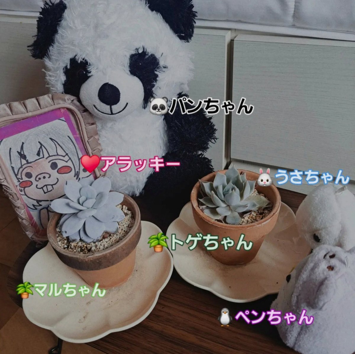 KabaoKobo's tweet photo. hakodate🚌🚩に向けて夜メインスト再履修してたんですけど、やっぱエ〜トリはストーリーが良い。
定期的なメインスト摂取、大事。ｷﾞｭｯ https://t.co/LqsEHnE3EI