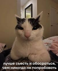 vadimuch864's tweet photo. @sowushkinaa курку нєдожаріл. а патом нє успєл доєхать до заправкі. https://t.co/2J7s8HG6vv