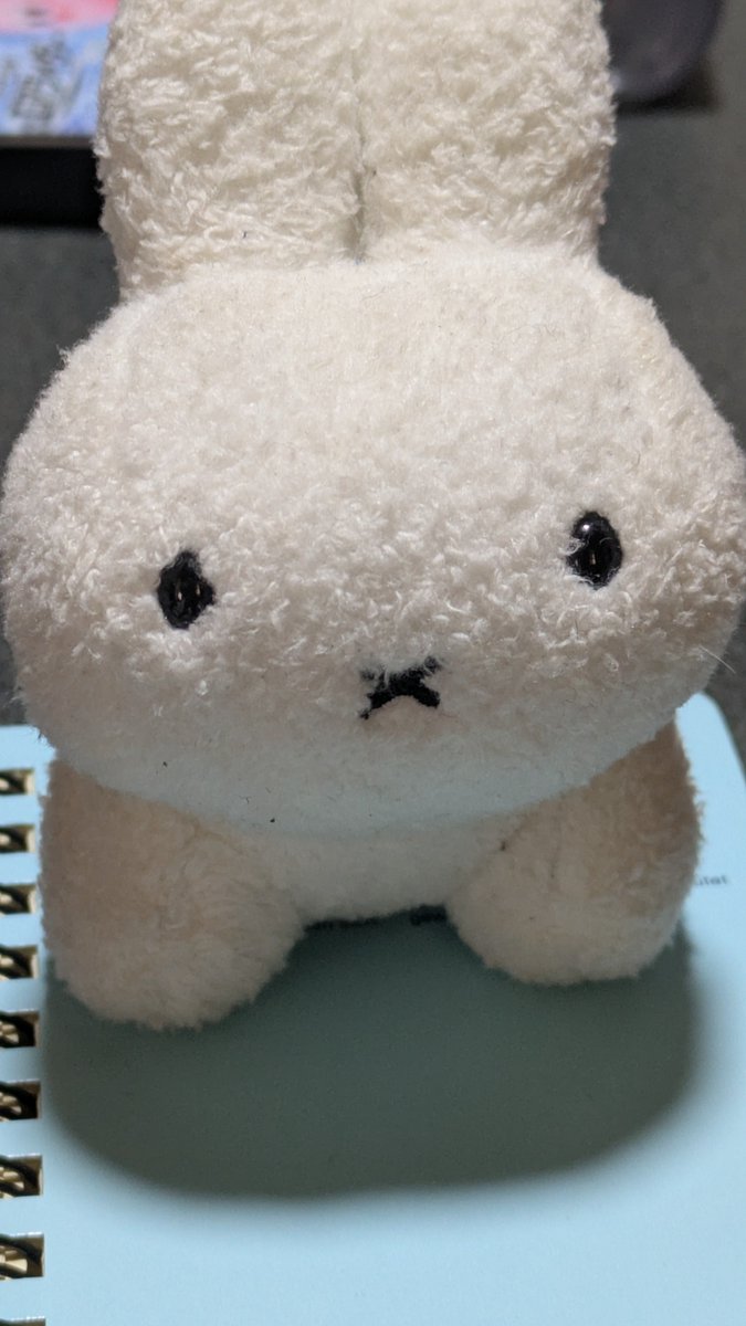 umen_menn's tweet photo. 冷麺さんのぬい撮り知識
カメラの倍率を3倍にすると目に写ってるぬいぐるみと同じように撮れますよ、原理は知らん。
お試しあれ https://t.co/LN5vK9AeMM