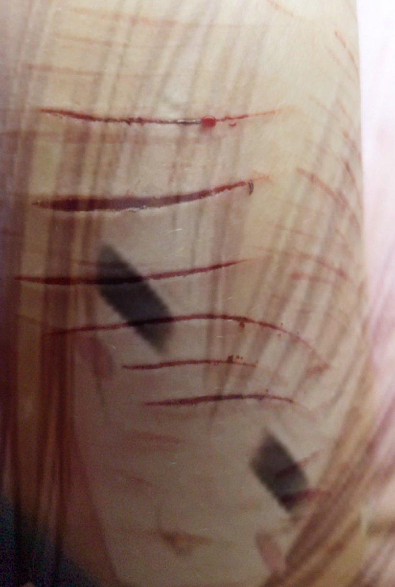 z0mbiegutts's tweet photo. all fake!!!!!! just fun makeup for Halloween!!🎃 https://t.co/ZozKdYceCf