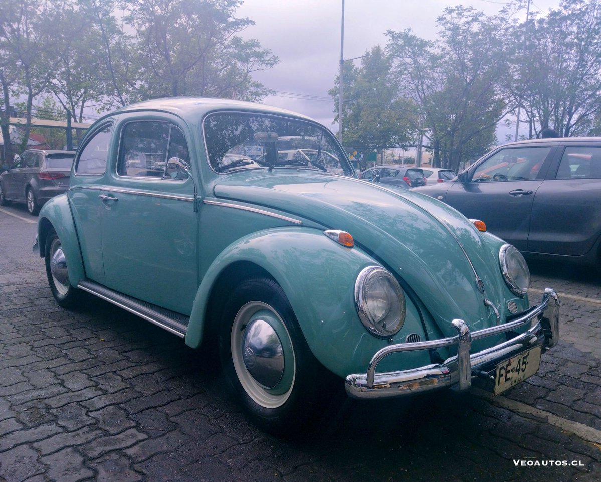 VeoAutos's tweet photo. #Avistamiento Volkswagen Escarabajo 1966, un clásico que no necesita presentación ❤️
+ Info https://t.co/mkEncRUB62
#vwescarabajo #volkswagen1966 #beetle1966
@VW @RiveraNotario @VWChile https://t.co/hRXYVcWKpM
