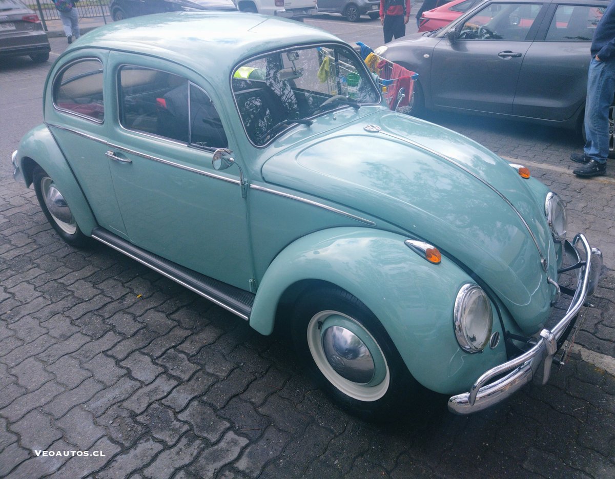 VeoAutos's tweet photo. #Avistamiento Volkswagen Escarabajo 1966, un clásico que no necesita presentación ❤️
+ Info https://t.co/mkEncRUB62
#vwescarabajo #volkswagen1966 #beetle1966
@VW @RiveraNotario @VWChile https://t.co/hRXYVcWKpM