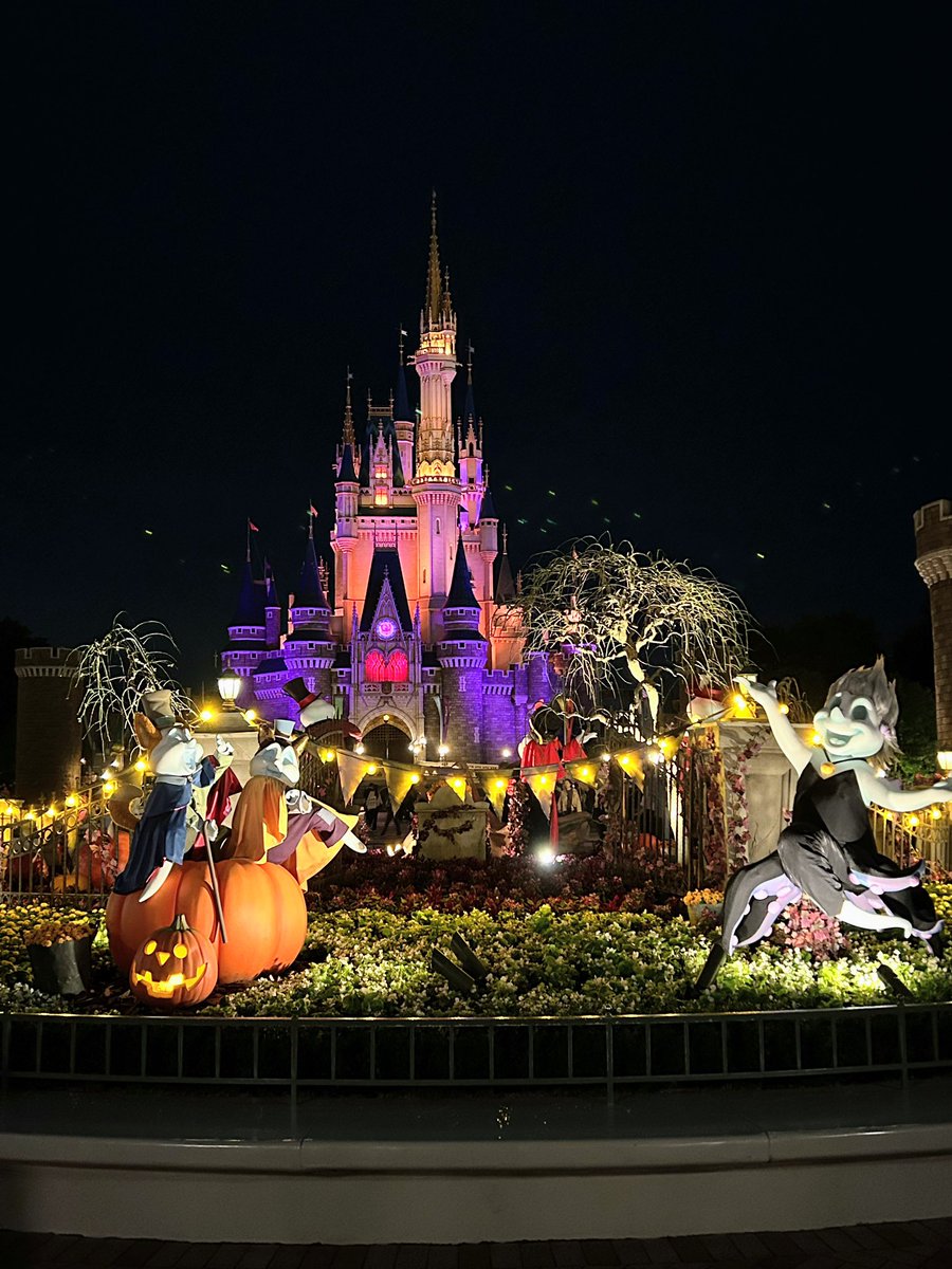 nyoehoara's tweet photo. 🎃いつもいいねありがとうございます🎃
ヽ(*＾ω＾*)ﾉ
昨夜は娘が懸賞に当選した「東京ディズニーランド  プライベート・イブニング・パーティ【貸切】」に行って来ました✨
園内はハロウィン仕様で、めっちゃ楽しかった！
(￣ω￣;)食べ物撮り忘れました
@TDR_PR 
#お外ごはん #夜ごはん #ねこ好き https://t.co/yOhlrat3jI