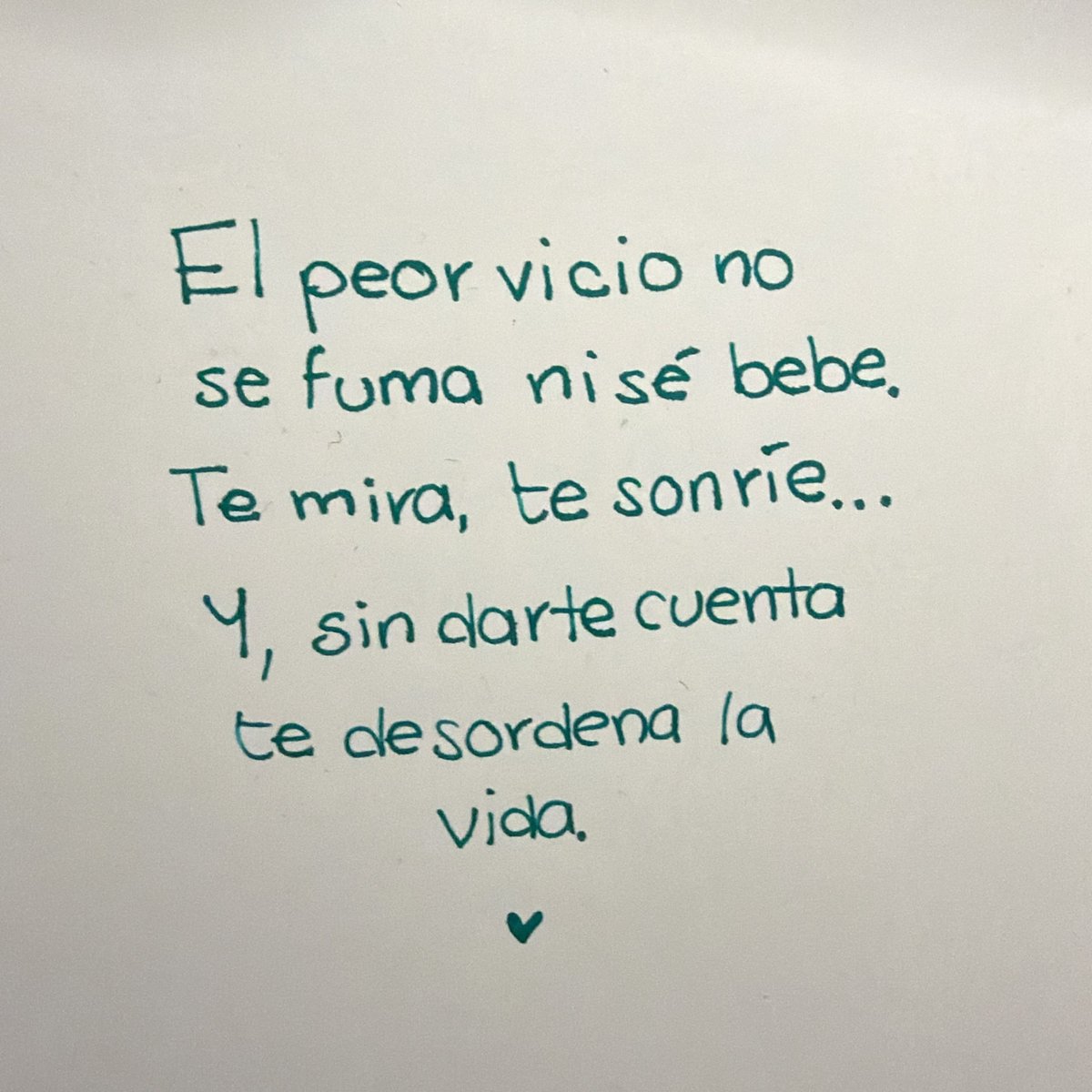 El_abuacatit0's tweet photo. 🌷 https://t.co/du3ngyGS7s