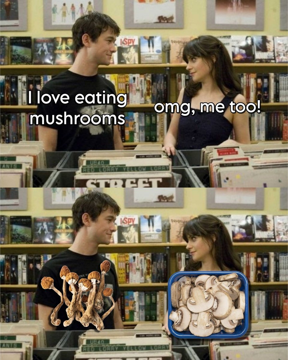 APsychedelics's tweet photo. I ♥️ eating mushrooms 🍄 https://t.co/braekKAH2Q