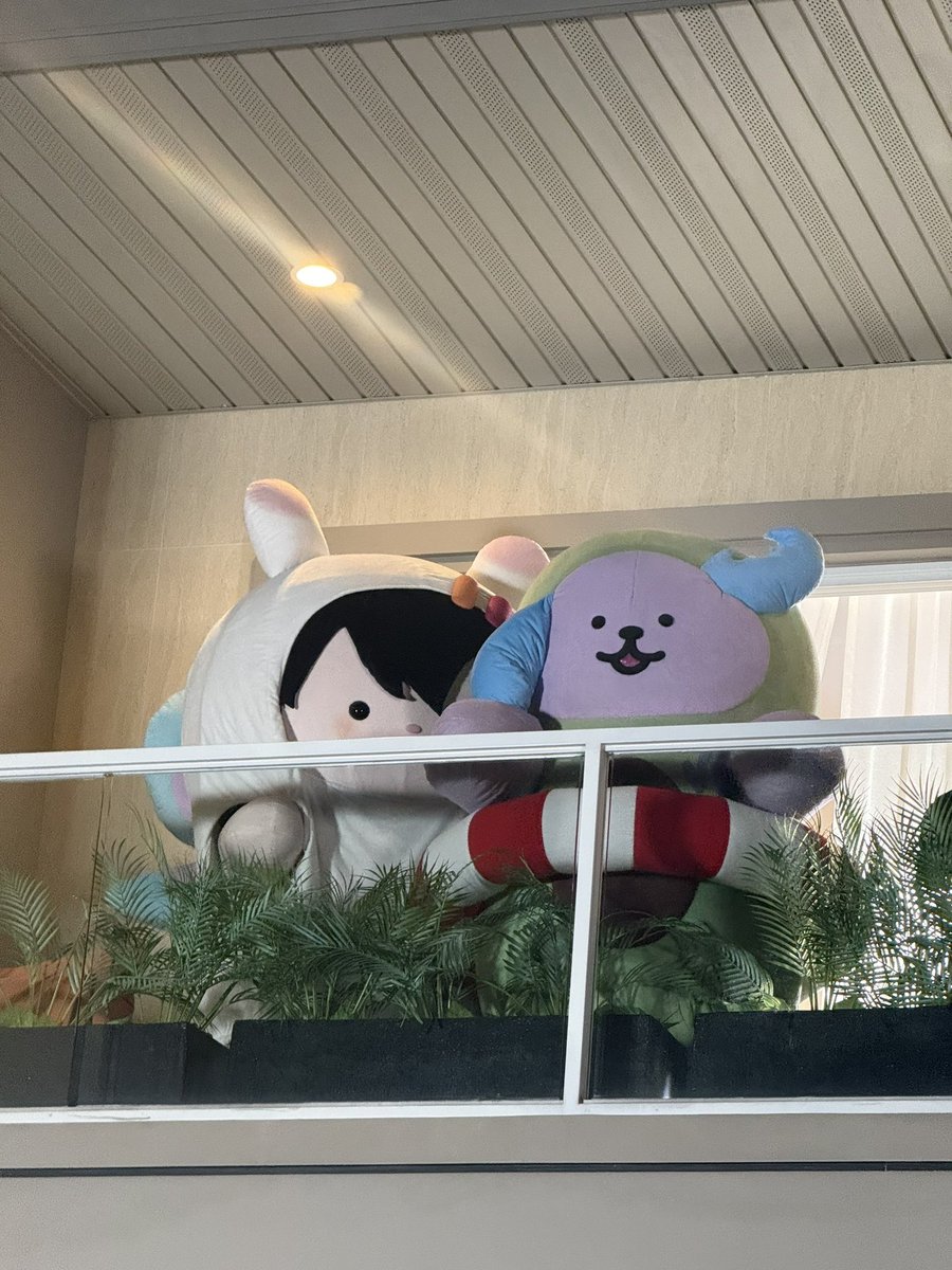 holidayfluffymt's tweet photo. อะโวเชี่ยน เอนี่ แปลหน่อยลูกมีอะไรจะบอกย่ายายมั้ย https://t.co/n0P4bryJ9O