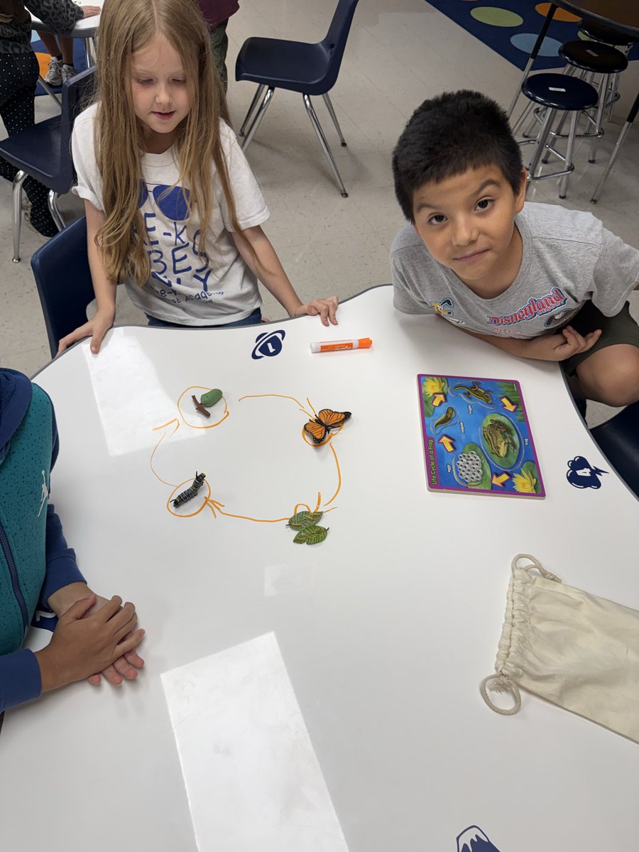 Michelle_STEM's tweet photo. 🐛🦋🐸 2nd Grade Colts investigated and described the life cycles of butterflies and frogs! I love seeing our Colts learn through hands-on, collaborative activities! 🔬💚 https://t.co/RLjtwHvtYC