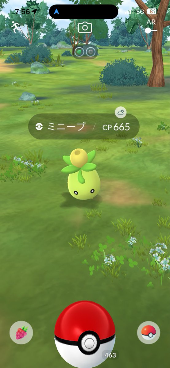 ArisPkmn773's tweet photo. カジッチュのついでに収穫���れるミニーブ
#ポケモンGO https://t.co/dCQE2RLmrV