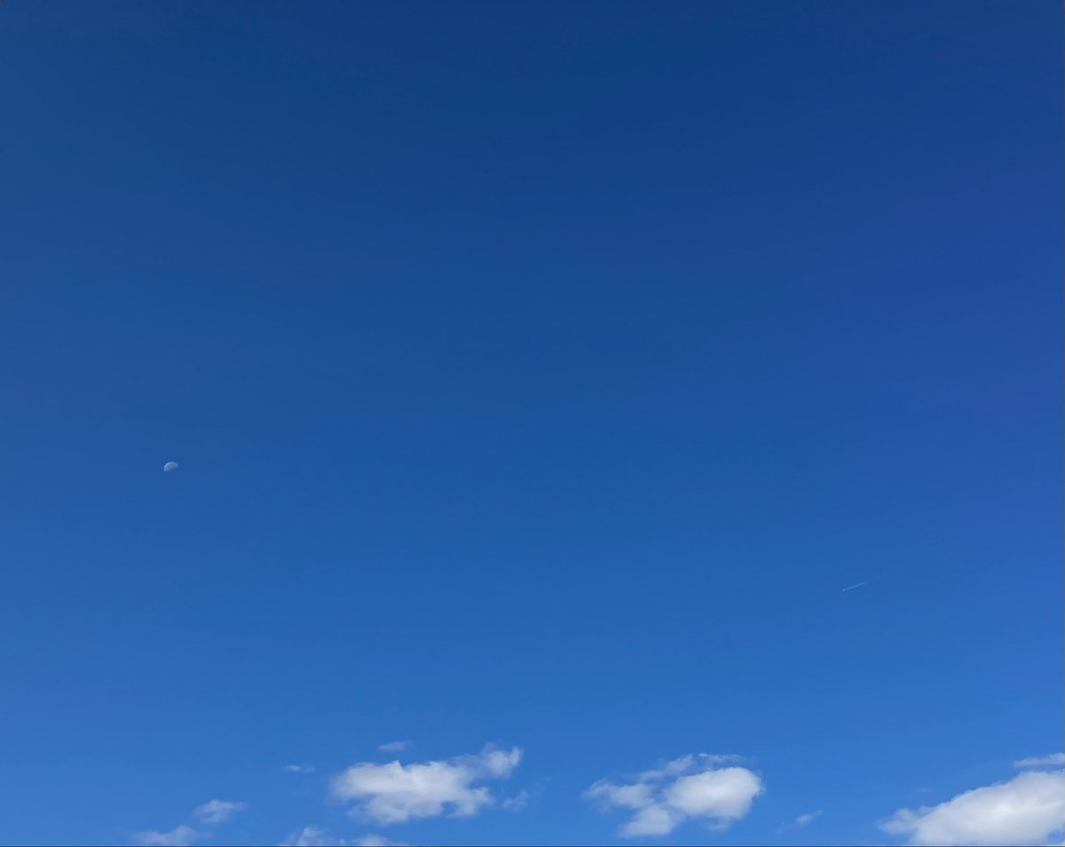pom_osaka06's tweet photo. 大阪市10:10秋の青空、お月様も https://t.co/B0RShCPjyx