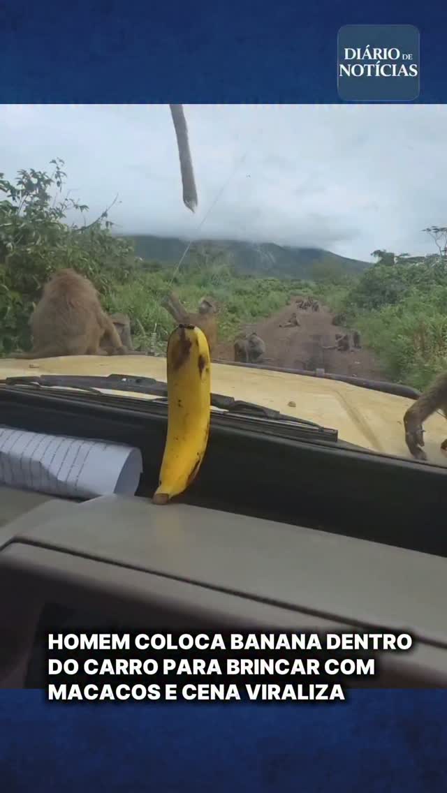 egoaugust's tweet photo. A man left a banana inside his car during an encounter with monkeys. The animals quickly spotted it and tried everything to reach it from outside. One even climbed onto the car. Could you stay calm with monkeys trying to get in? https://t.co/PU23wl0fER