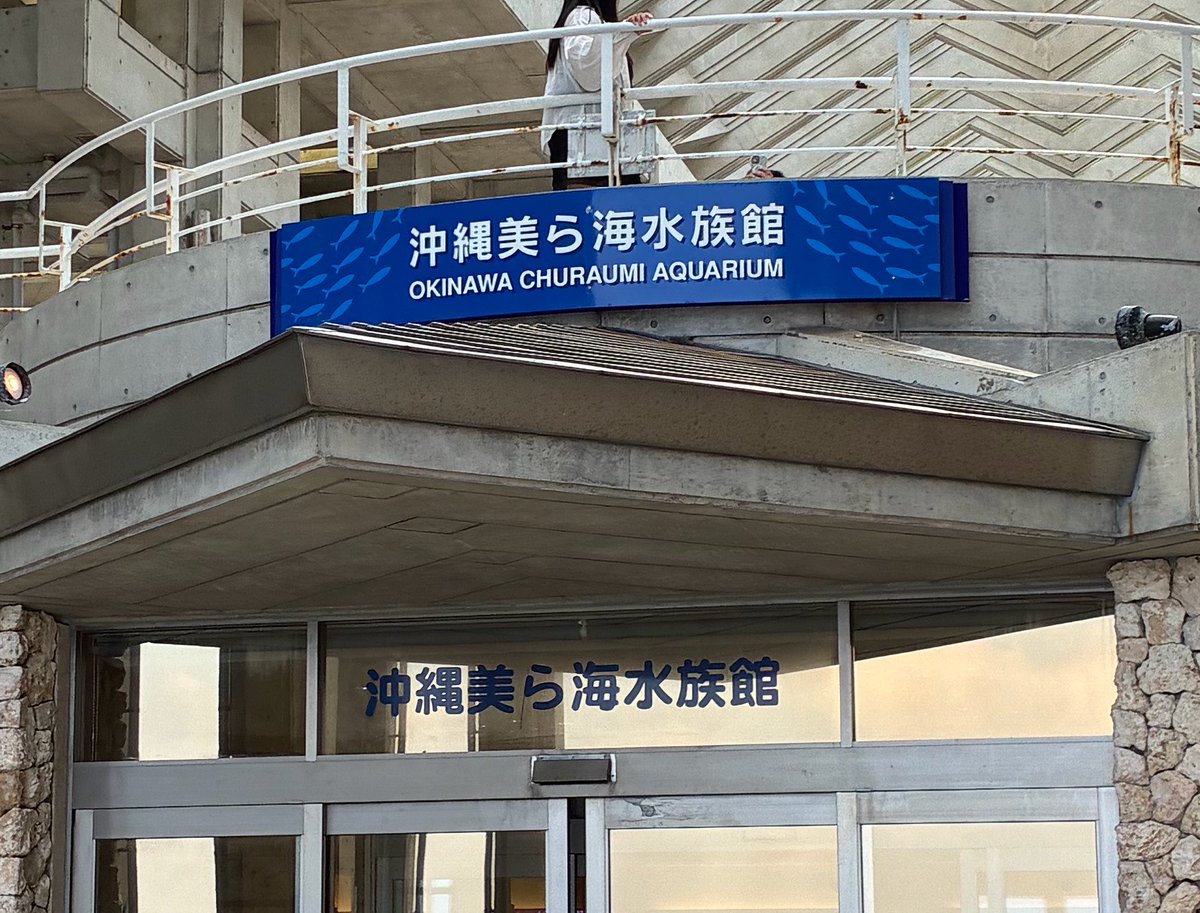 TAMAFAN326's tweet photo. 美ら海水族館 https://t.co/VksFq2hwI2