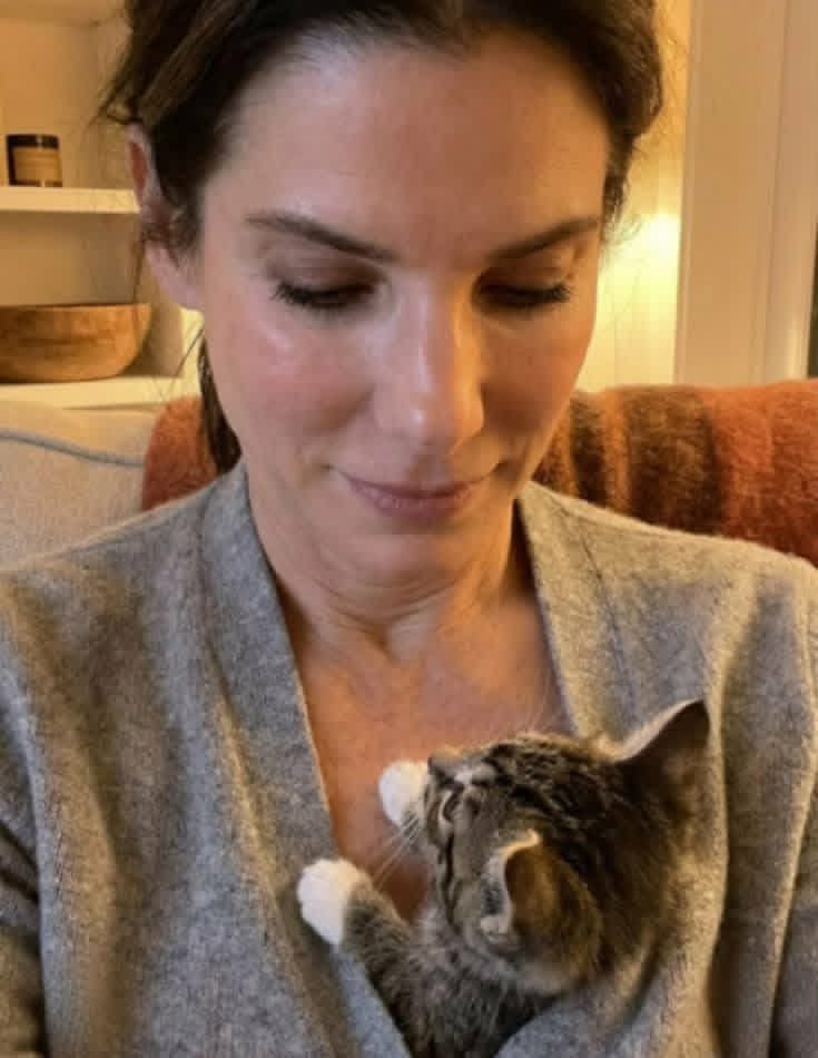 SANDRA_90q's tweet photo. You've worked hard, now take a moment to rest and enjoy the good things in life Come tell me "Good night" on Telegram:👇🏻

https://t.co/HW5NqBvgOA https://t.co/JWWdw9Vdoq