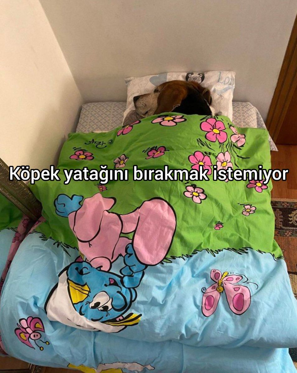 anlikmod's tweet photo. https://t.co/TGL2DDGSGE