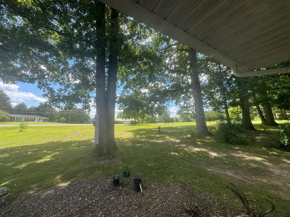 MORILLASJOSE's tweet photo. What a gorgeous day in PA. I can definitely feel the seasons changing—treasure each day! What’s the weather like where you are? https://t.co/gCTGE3T6IP