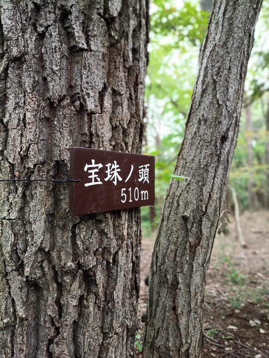 roseicollis4's tweet photo. https://t.co/zyLQuXFb2t