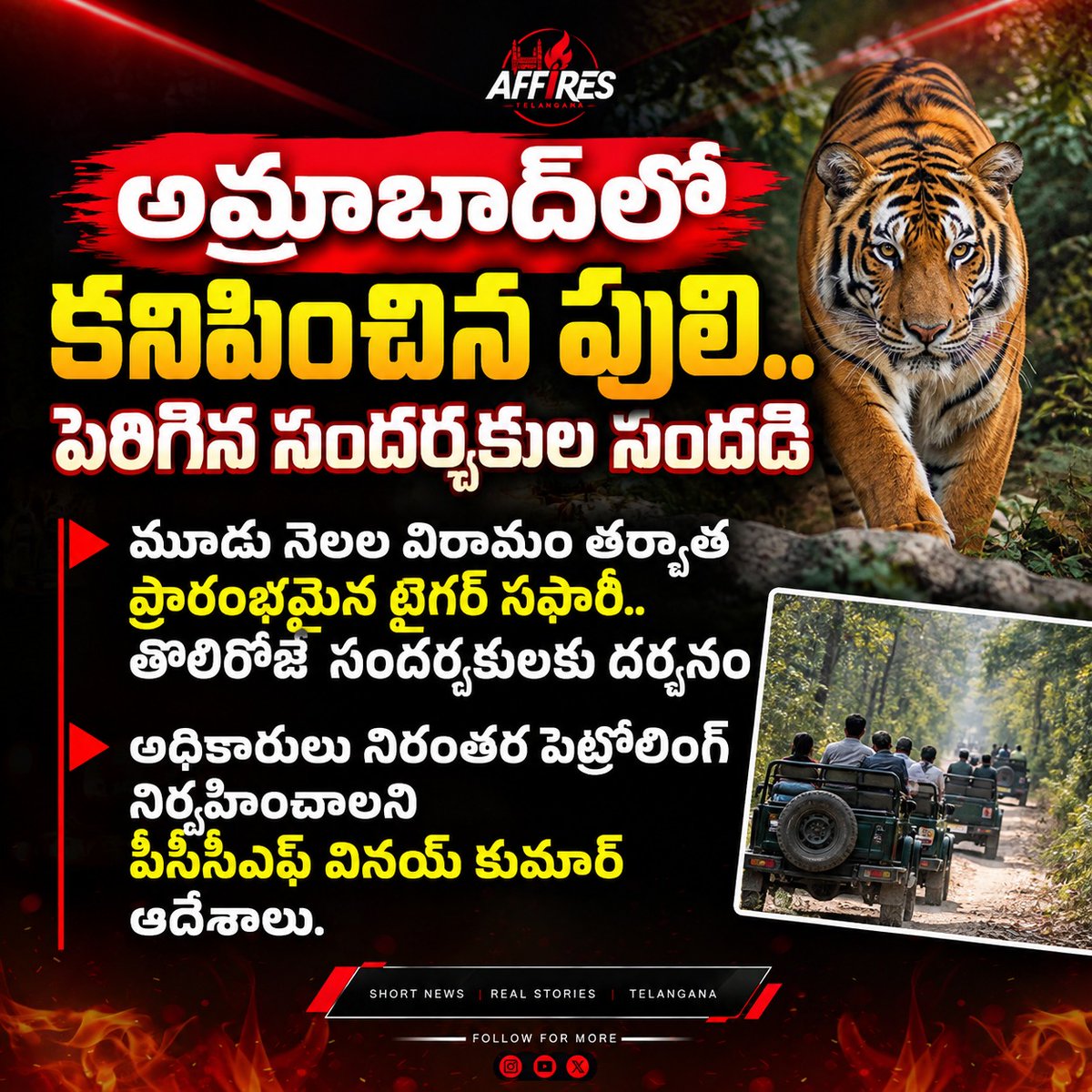 AffiresTG's tweet photo. అమ్రాబాద్‌లో పులి దర్శనం.. 3 నెలల తర్వాత ప���రారంభమైన టైగర్ సఫారీలో తొలిరోజే సందడి!
#Amrabad #AmrabadTigerReserve #TigerSafari #Tiger #telangana #affires https://t.co/3Hh9vgfdq4