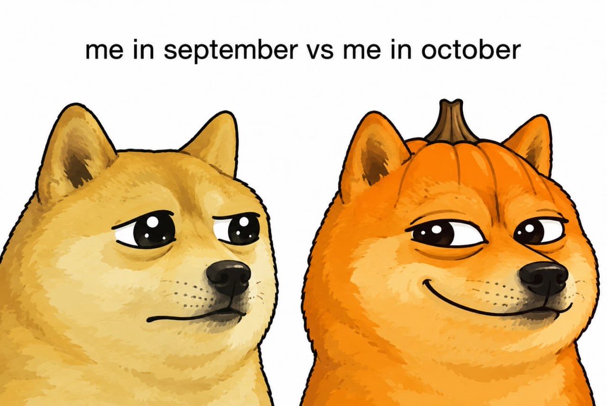 POGESTONKS's tweet photo. You hold $POGE you earn $DOGE. 

Launched on @LaunchOnSF. You earn the highest mcap memecoin ever. Higher than PEPE even! 

Uptober is here &amp; @elonmusk favorite meme pumps! 

CA: 5Hpm2fiYFifqT6nc4VnGeHF2B9urnnPdv4icEWK2TPyX https://t.co/jmlw5VNTeh