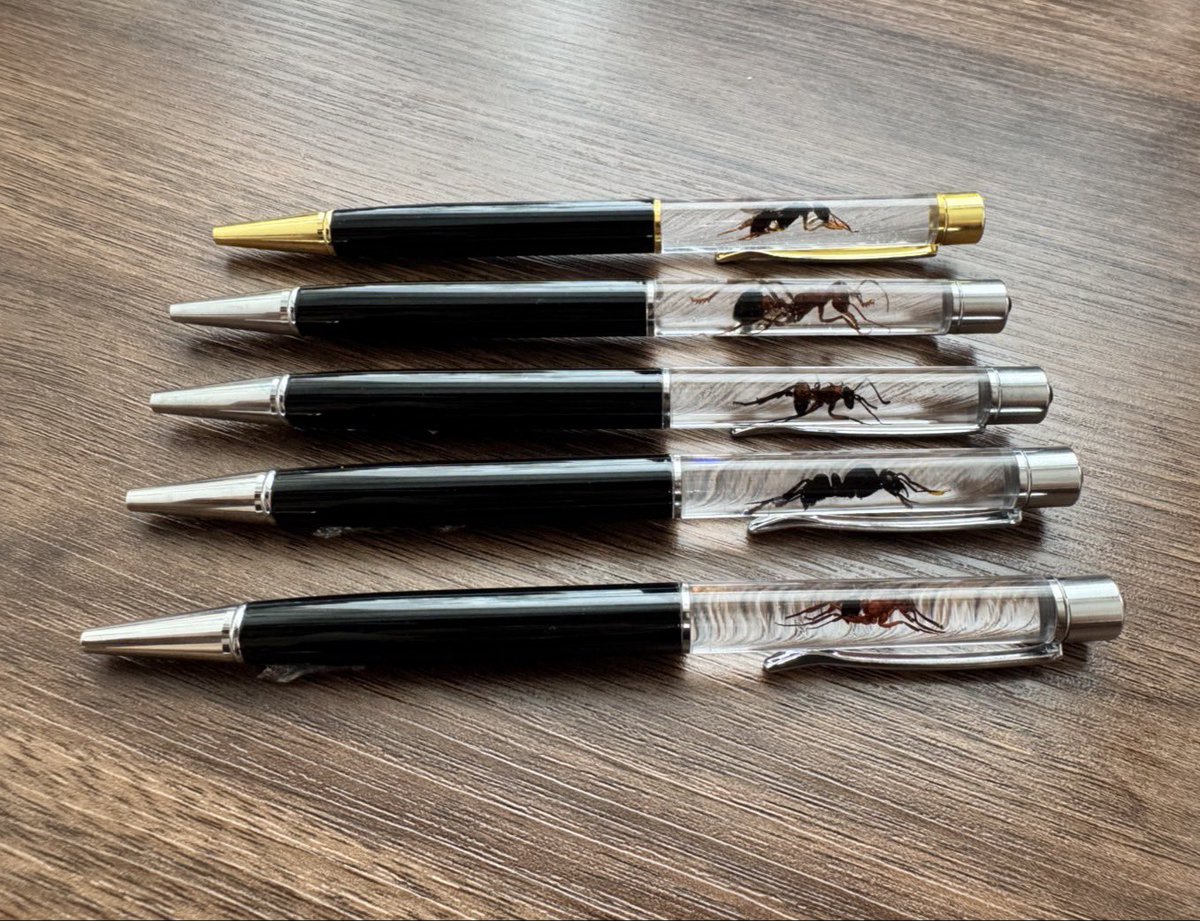 ant_mania80697's tweet photo. 【蟻道販売商品】

亡くなったアリを一匹ずつ丁寧に展足し、樹脂の中に封入したオリジナルのボールペンです！
完全手製のため細かな気泡が入っている場合がありますが、手仕事ならではの味として楽しんでいただけたら嬉しいです。
今後はオーダーメイド制作も承る予定ですので、ぜひ会場で実物をご覧ください！