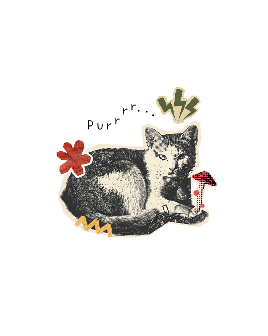 itstinks_'s tweet photo. A cat ver.2 𖦹⭒°｡⋆ #png 
— personal use only https://t.co/tv29e8p8AZ