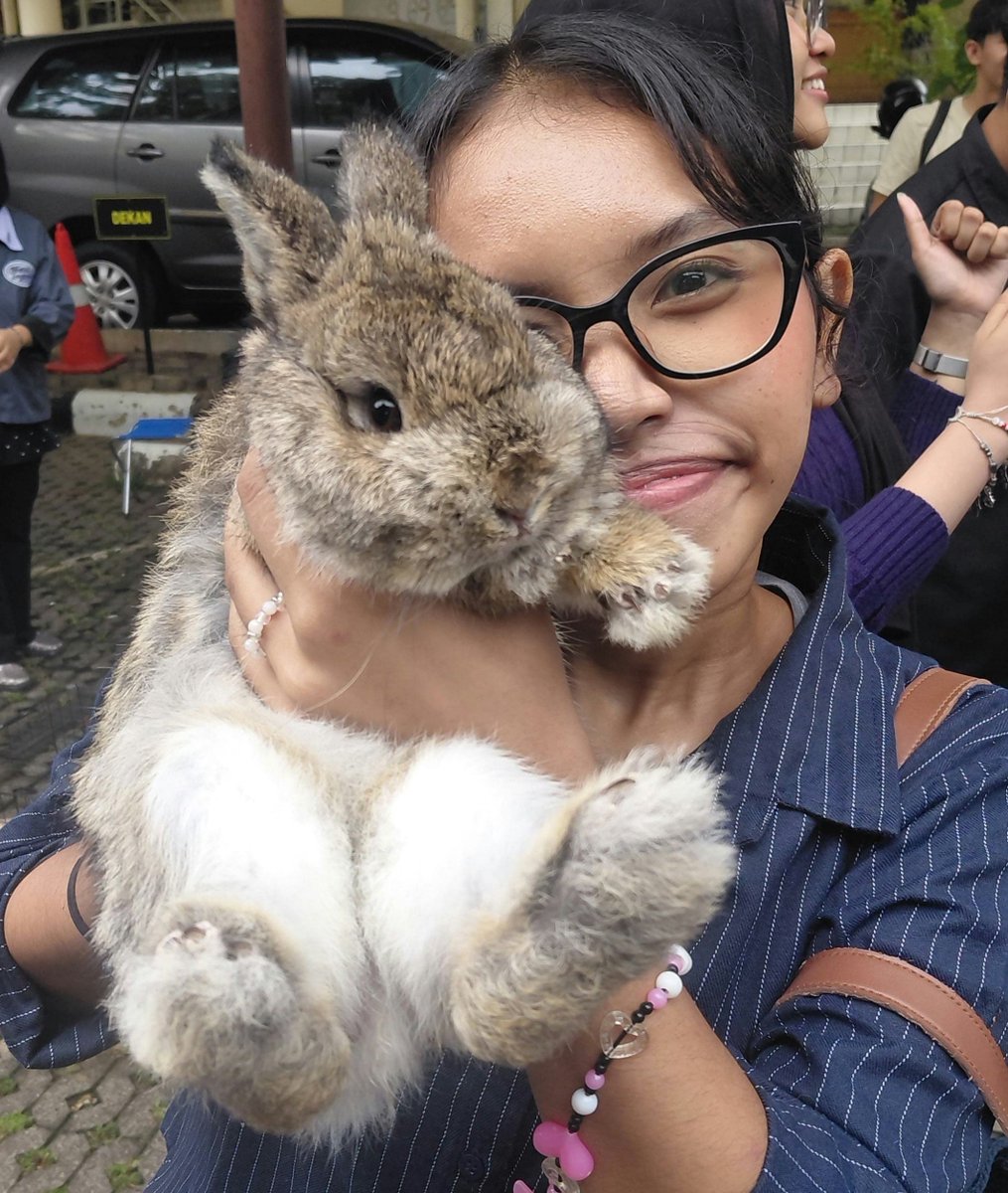 sevenluckycat's tweet photo. imut bgt kelincinyaaa 🥺 https://t.co/5bQXufgnrT