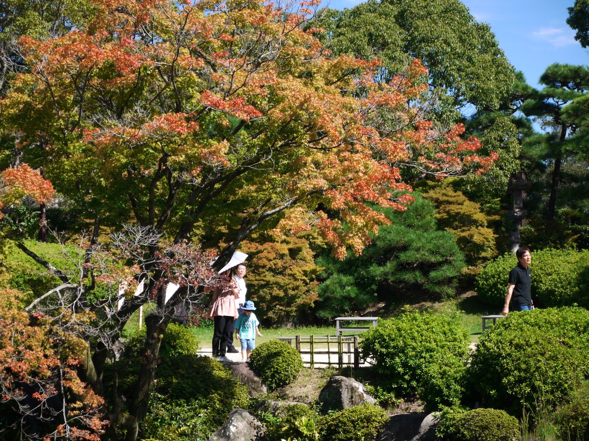nsr50's tweet photo. #相楽園
まあ、いくらなんでも紅葉にはまだ早いって、、 https://t.co/DxL3eTnnvF