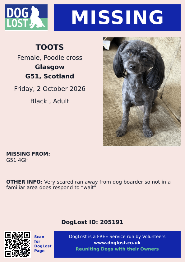 millypod1's tweet photo. 🆘2 OCT 2026 #Lost Toots #ScanMe
Poodle Cross Female
RAN FROM DOG BOARDER. UNFAMILIAR AREA
nr St. Kenneth Drive #Glasgow #Scotland #G51 #A739
https://t.co/xCuSNRuUWu https://t.co/PCOxefbFlI