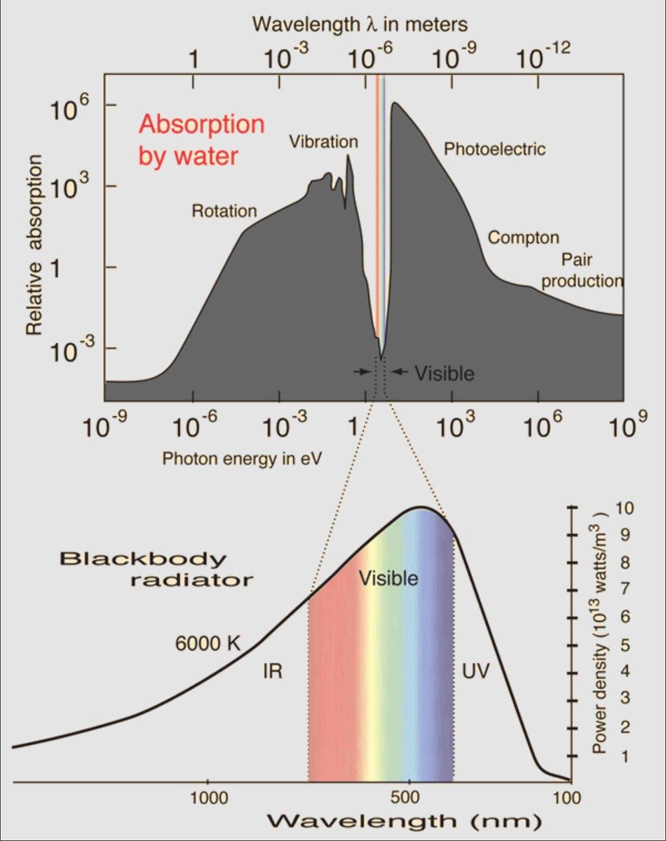 samim's tweet photo. water is transparent only within a very narrow band of the electromagnetic spectrum, so living organisms evolved sensitivity to that band, and that's what we now call "visible light". https://t.co/XtK77Jyv1L