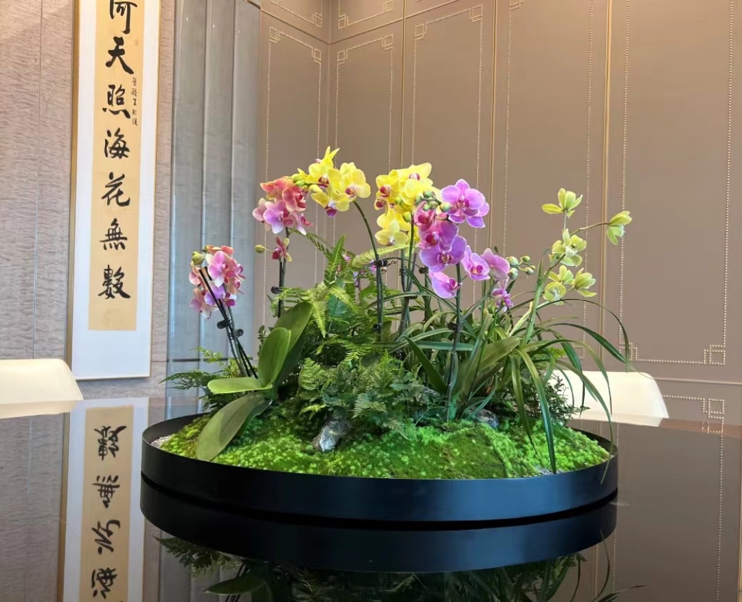 sxmzjP9PDg1TdDI's tweet photo. [Yipan flowers and orchids look so elegant together, making a lovely little scene!]， https://t.co/8watUlTXRi