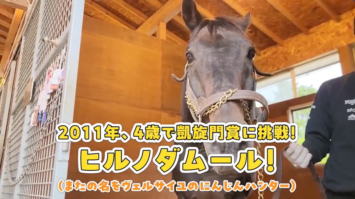 netkeiba's tweet photo. 【凱旋門賞】
2011年に凱旋門賞に出走された経験もある、天皇賞馬ヒルノダムールさん。

今年の凱旋門賞の見解をお伺いしました。

▼ヒルノダムールさんの予想を見る
https://t.co/TZcskffyyE https://t.co/1TGiabUZSW