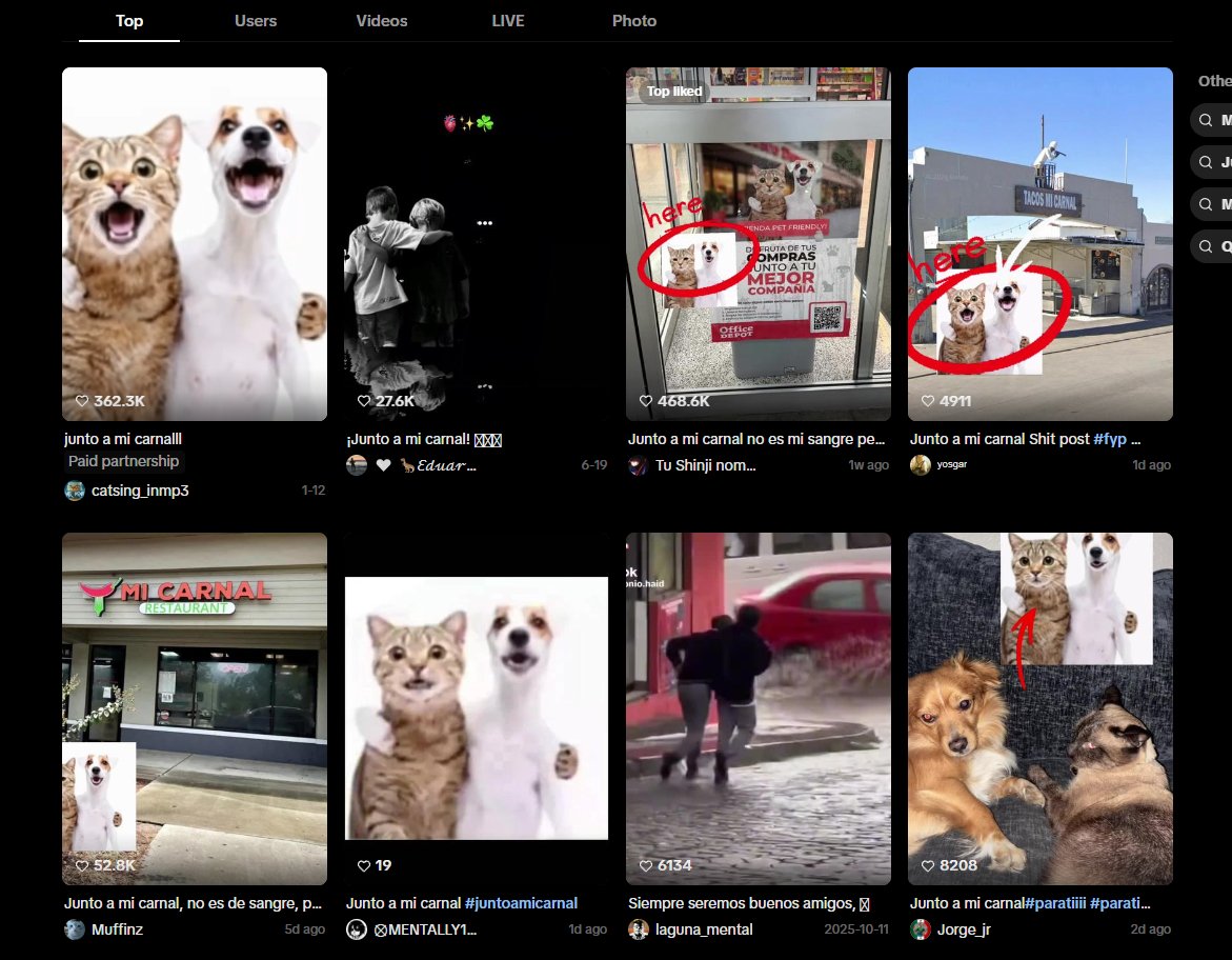 clclclclclcl8a's tweet photo. NEW AI ANIMAL MEME RUNNER JUST DROPPED

$Carnal - Junto a Mi Carnal

Its a dog and cat singing together about being brothers , and its going super viral with people referencing them in any occasion they see a cat and dog together, super memeable potential

1.7M Views, 500K LIKES:
https://t.co/Juk7wubgYH

2M Views, 360K LIKES: https://t.co/xRFuWwaSA5