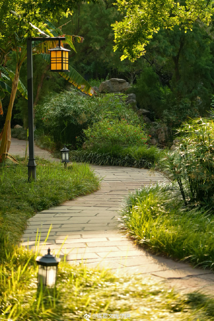 kookhun_lee's tweet photo. This morning I passed by a small ancient garden, where there are匝妆杉 trees standing quietly by the path, exuding a subtle serene vibe, making people slow down to appreciate the small beauty around. https://t.co/6383g7g1ZR