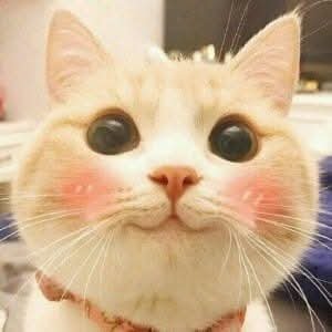 Antistatikk's tweet photo. Когда слышу слово "порноиндустрия", я представляю такой огромный завод и там мужик бегает в каске и орёт: "Петрович, блять, у нас план по гэнгбэнгам горит!" https://t.co/NE05qrfB5a