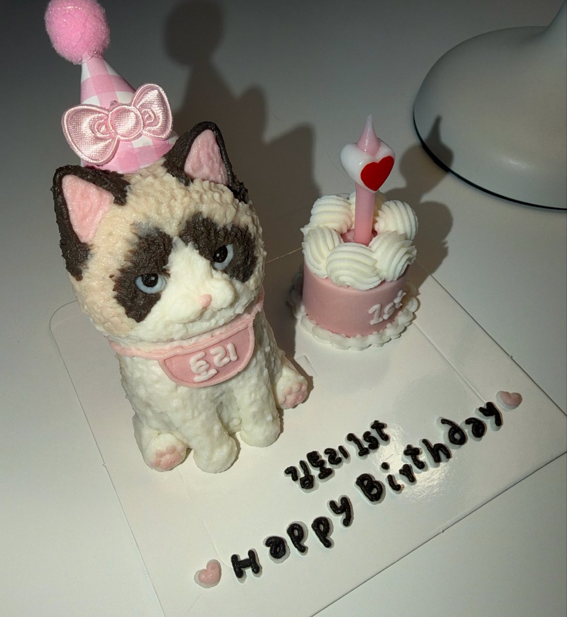 tte0yeoni's tweet photo. 오늘은 우리집 고양이 생일🎂😻😻 https://t.co/ekpHynNf9m
