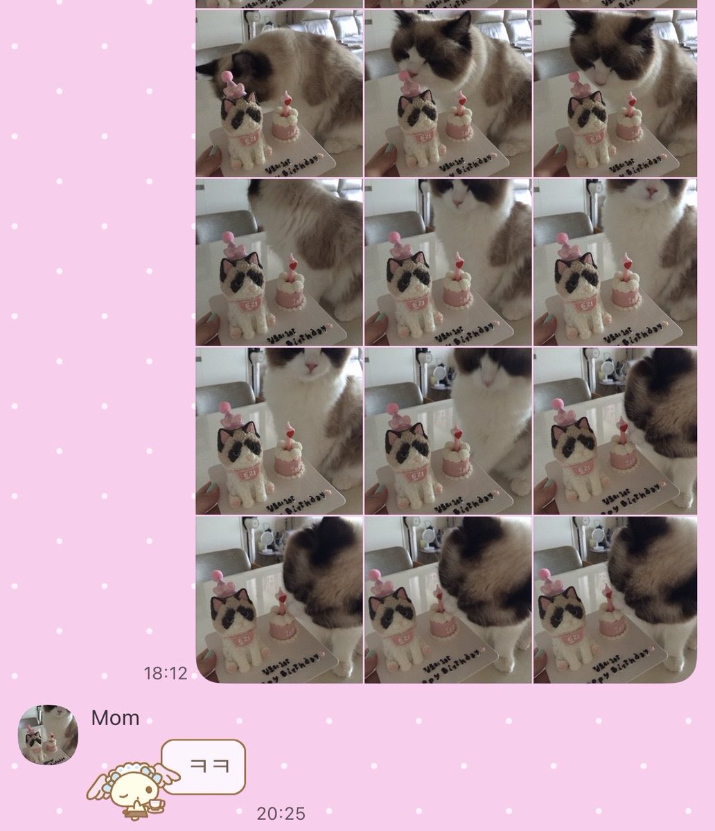 tte0yeoni's tweet photo. 오늘은 우리집 고양이 생일🎂😻😻 https://t.co/ekpHynNf9m