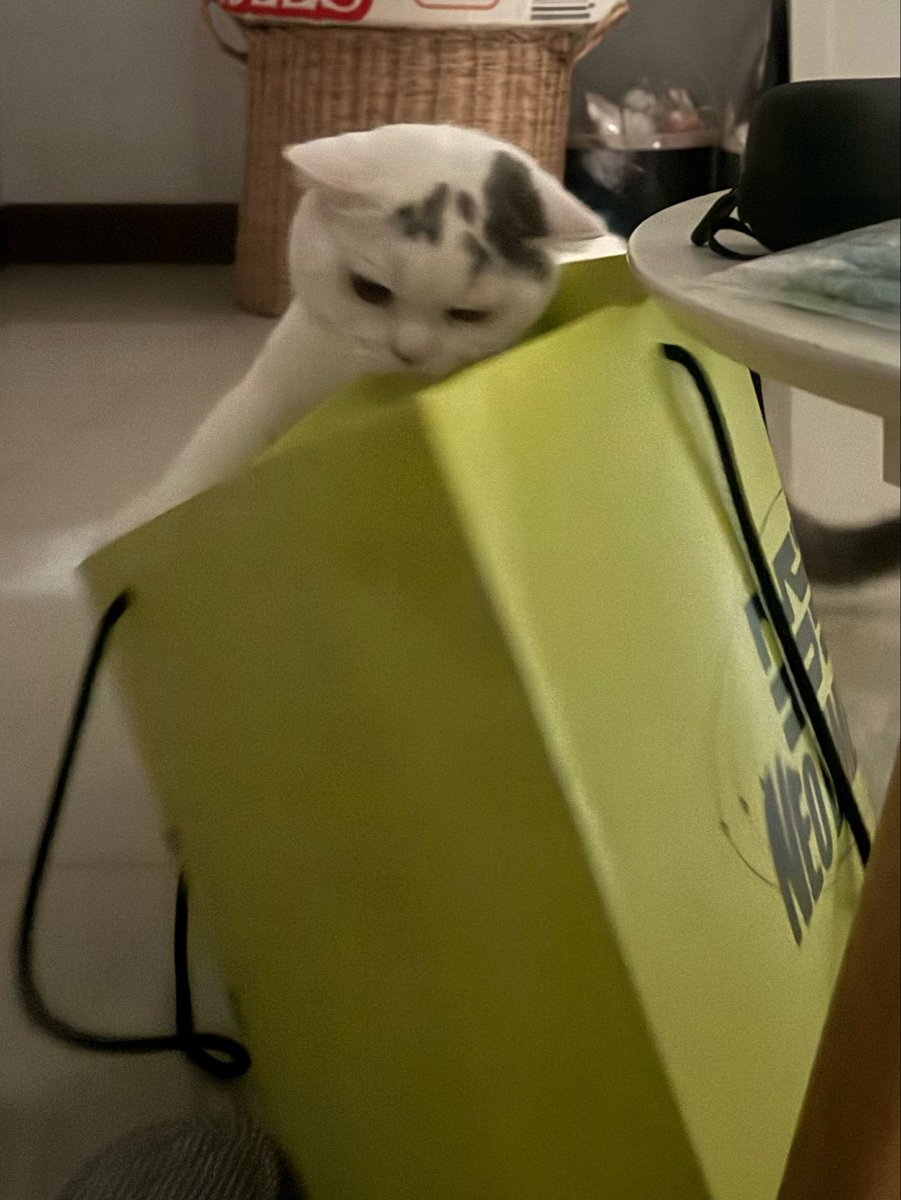 yoojeenoo's tweet photo. ซื้ออะไรมาให้ชั้น ไหนดูสิ้ https://t.co/sMyGwCzfzk