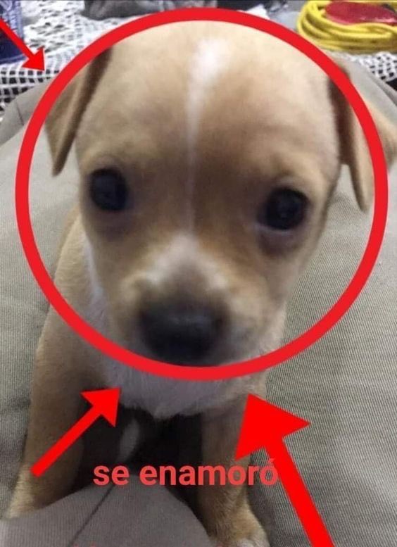Azulith_'s tweet photo. Ola, creo que una persona me está gustando…😭😭😭💔💔💔 https://t.co/HiUXOASF20