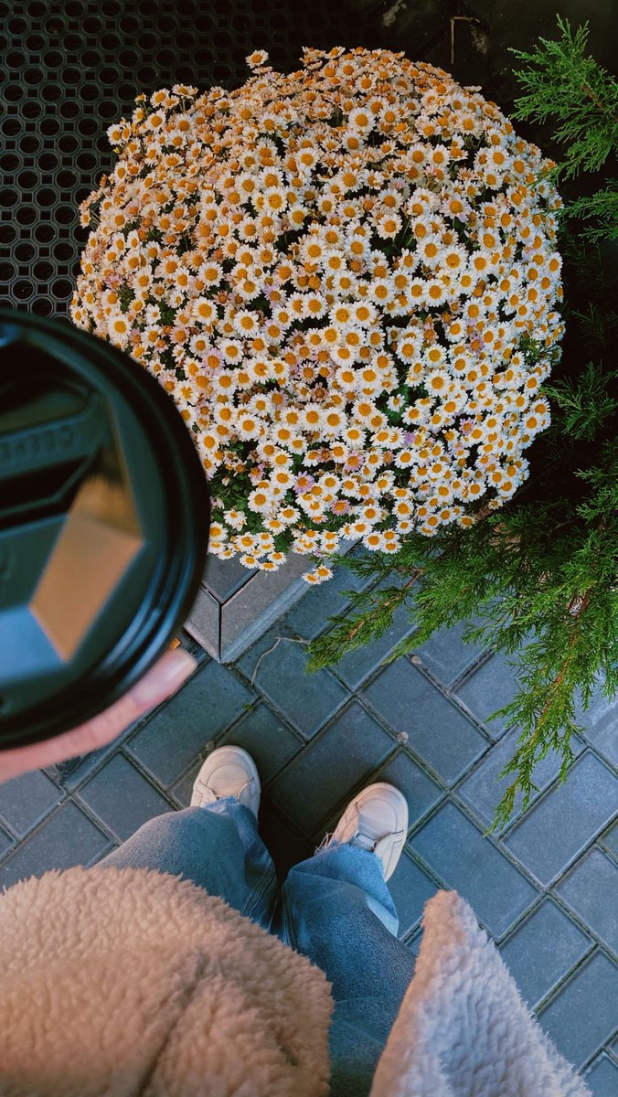 AzadTahere's tweet photo. The playlist is hitting, the coffee is good, and I’m not complaining. https://t.co/QEDFl6fVRB