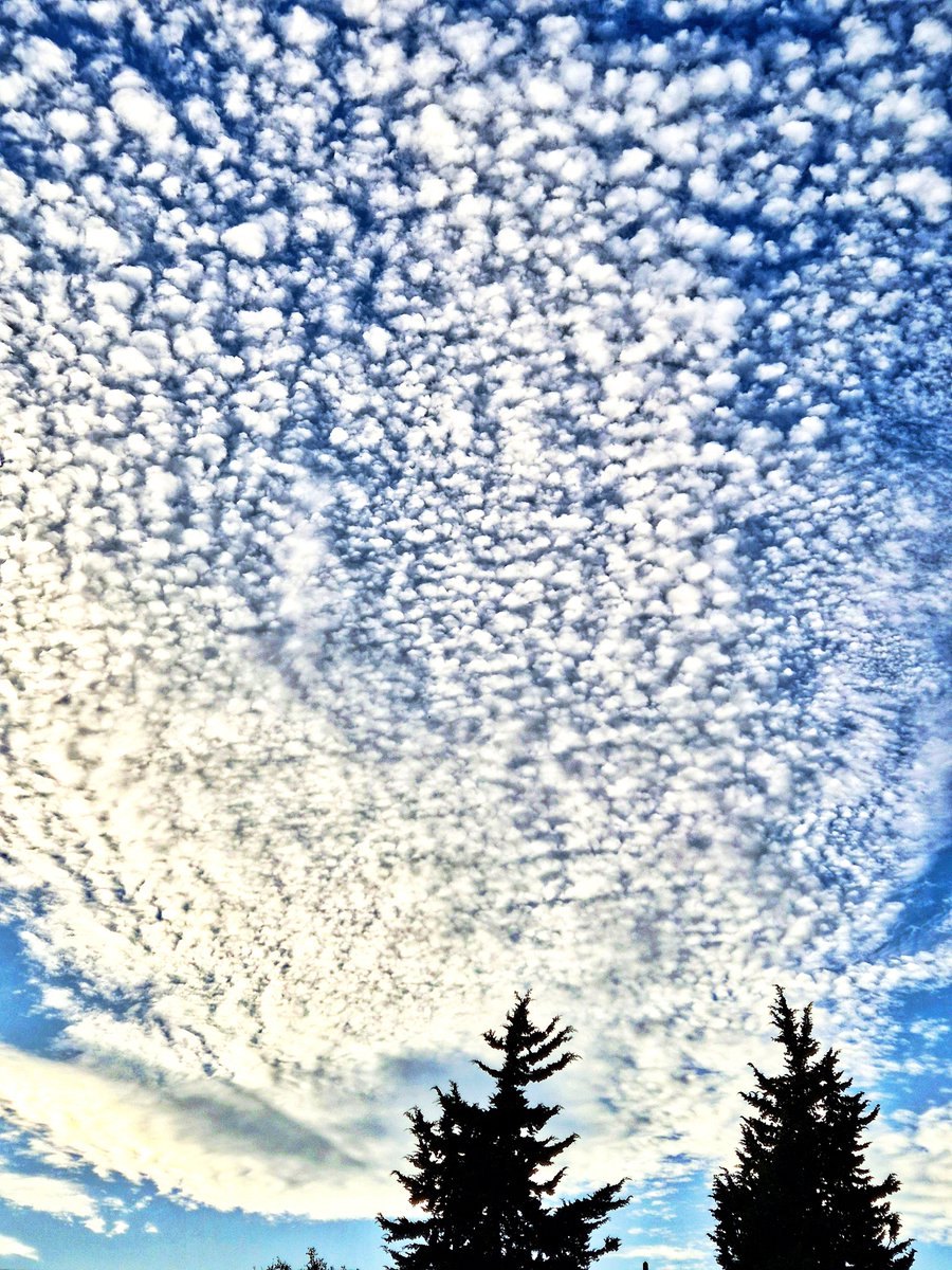 PhotoNikArt's tweet photo. GM ☀️
Have a great weekend 🍂 https://t.co/IKhNseE4MU