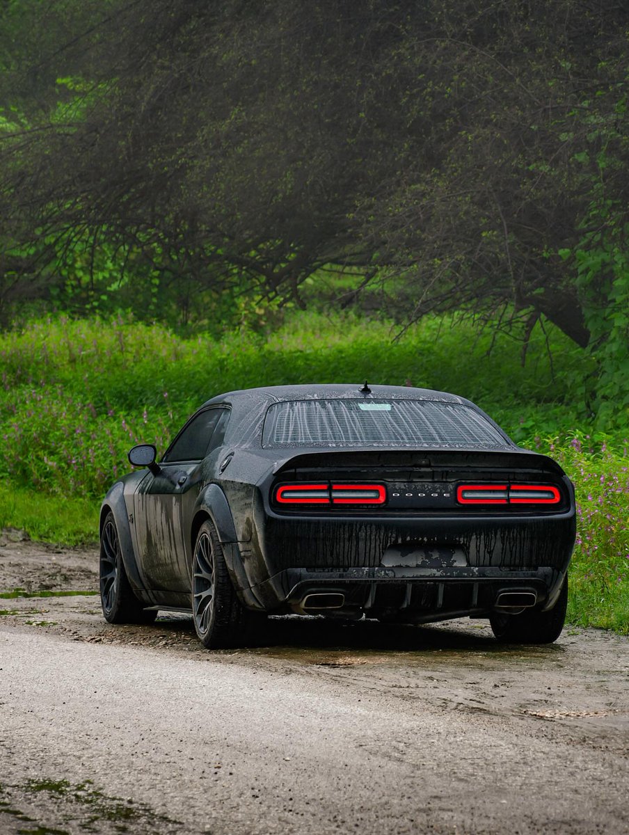 competitionreal's tweet photo. Dodge Challenger 🖤 https://t.co/lAcn9EEPEK