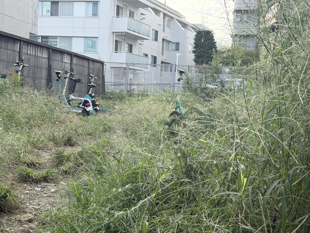 yoheiman's tweet photo. ワイルドなループ置き場があった。 https://t.co/okZ5Hdh8AK
