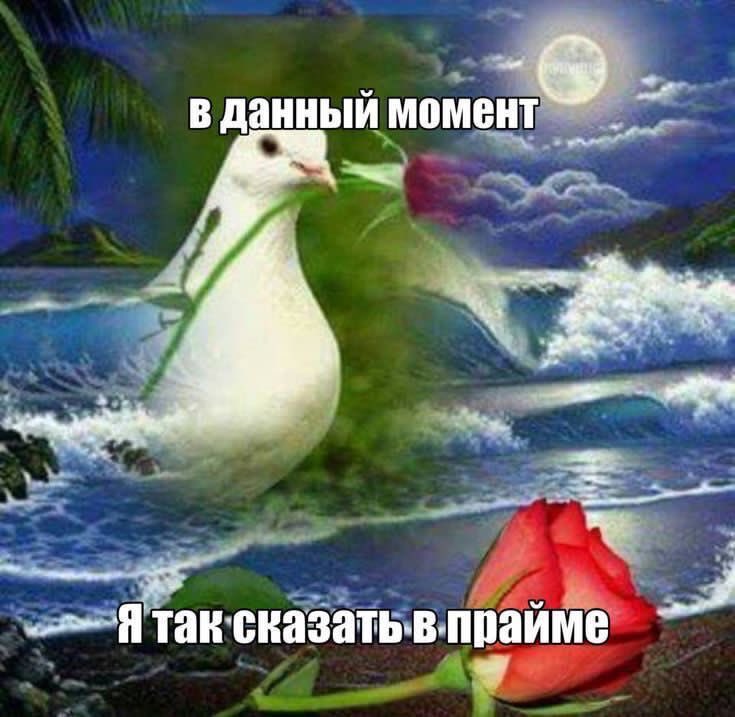 iyss666's tweet photo. @kibakibadog Ахуеть https://t.co/GnoCwzWNec