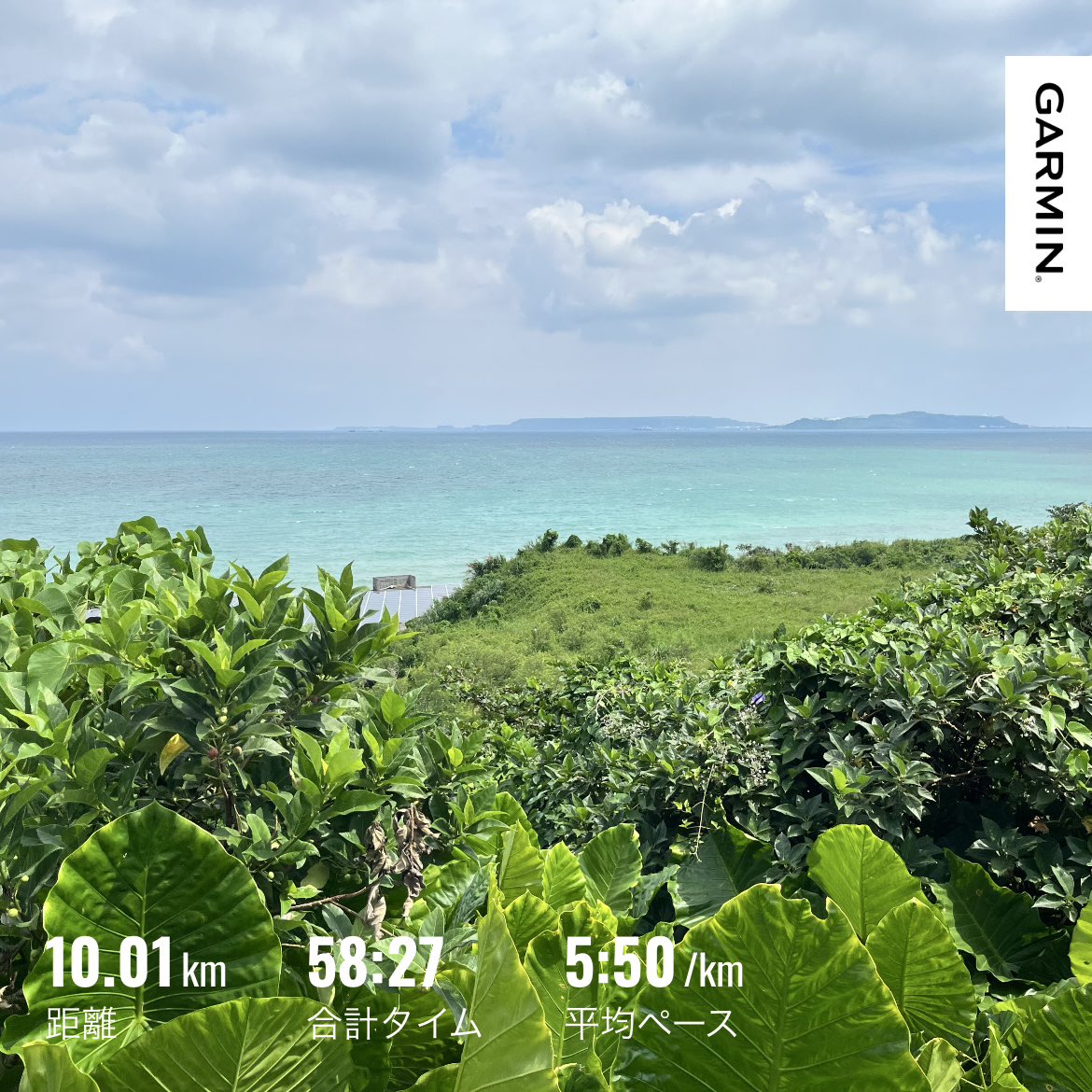 kamerunnerdesu's tweet photo. 午後ラン10K。ロング走の時間がとれず短めに。連続ラン記録更新中。痛みも疲れもなく逆に調子いいぐらい。このまま行けるところまで🏃‍♂️‍➡️⛰️
#garmin #beatyesterday https://t.co/h3v1W25lWx