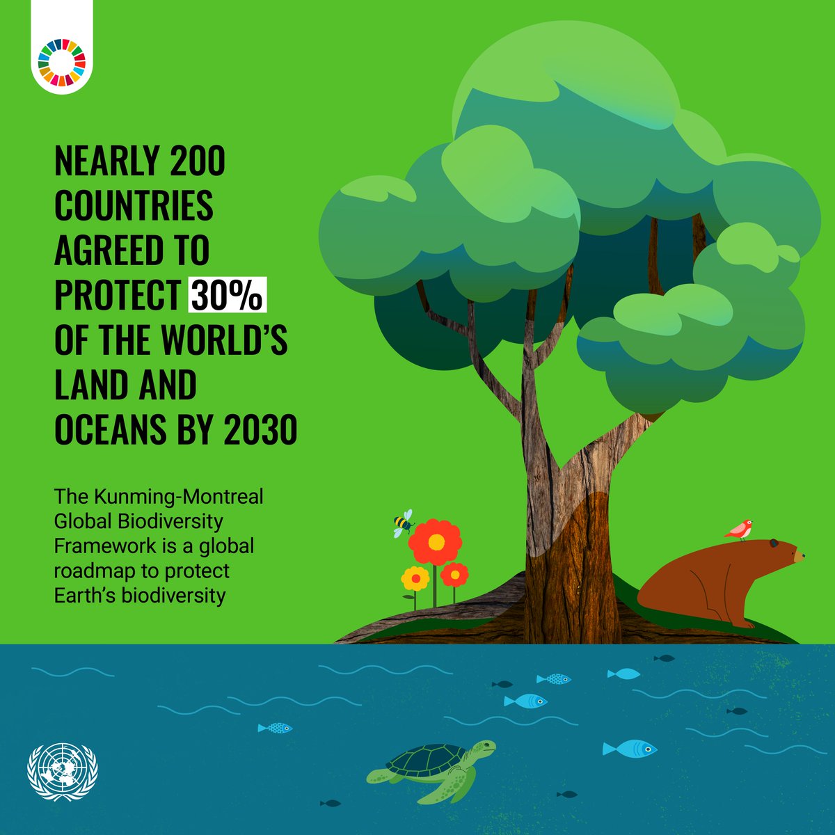 GlobalGoalsUN's tweet photo. Nearly 200 countries have agreed to a historic "30 by 30" goal: protecting 30% of the world’s land and oceans by 2030. 🌲🐾
Learn more about how to protect Earth’s biodiversity: https://t.co/z7jhe73JzW
#GlobalGoals https://t.co/2ZhvWs5EHr
