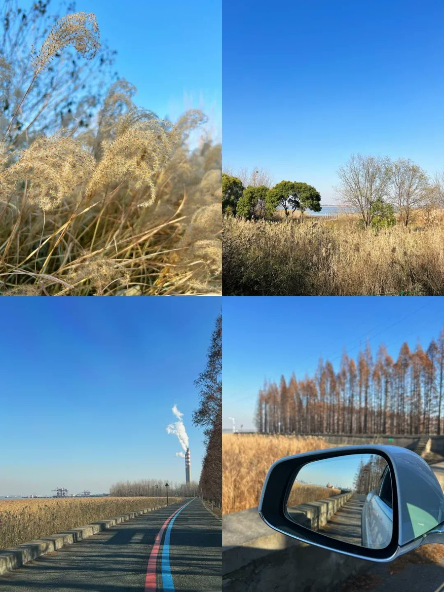 c85fbrix957's tweet photo. [By the old dilapidated roadside embankment, the withered reeds swaying gently hide a fake lantern—what a peculiar, forgotten little scene.] https://t.co/osoKNKa2Wj