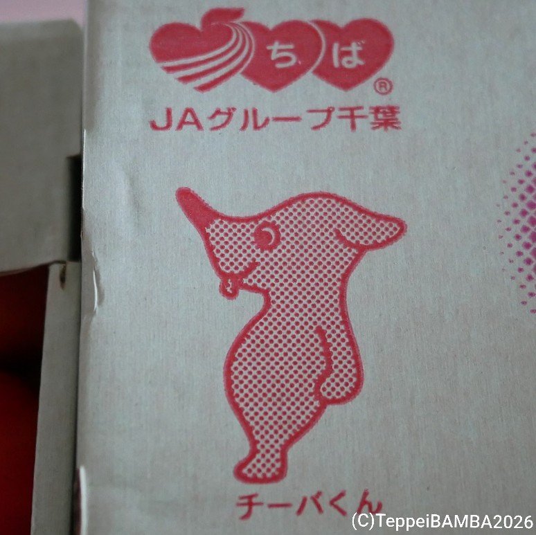 jobbbradio's tweet photo. トマト48個も買っちゃいました。
我が家は今日からトマト祭りです！

#千葉のトマト

2026年10月3日（土）15時37分ツイート https://t.co/bsjRZ6dOOh
